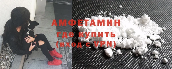амф Верхний Тагил