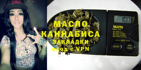 амф Верхний Тагил