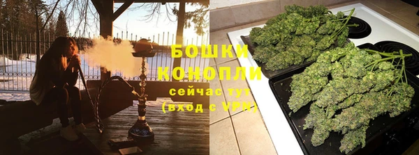 амф Богородицк