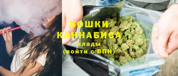 амф Верхний Тагил
