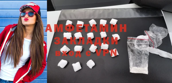 амф Верхний Тагил