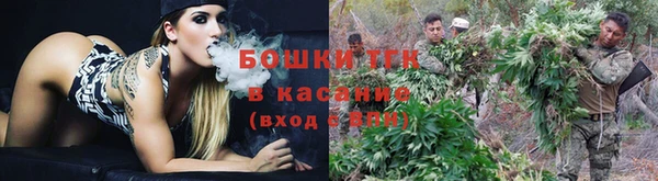 амф Бородино