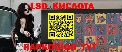 шишки Кимры