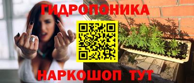 шишки Кимры