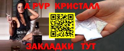 шишки Кимры