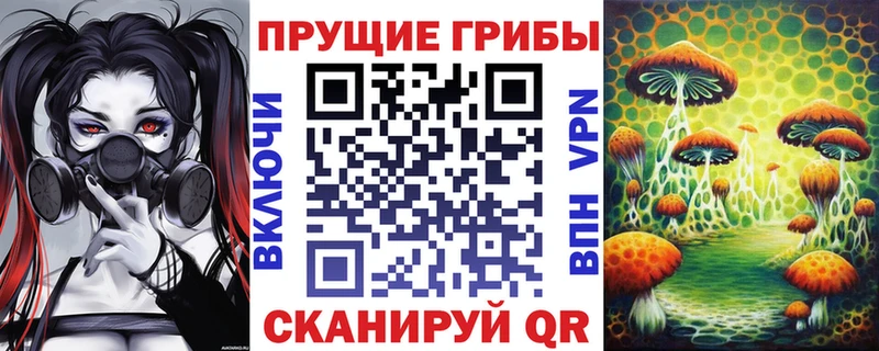 Псилоцибиновые грибы Psilocybe  Улан-Удэ 