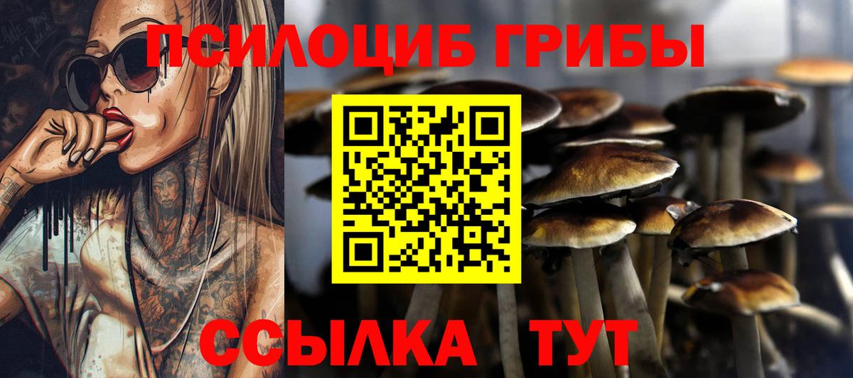 Псилоцибиновые грибы Magic Shrooms Улан-Удэ